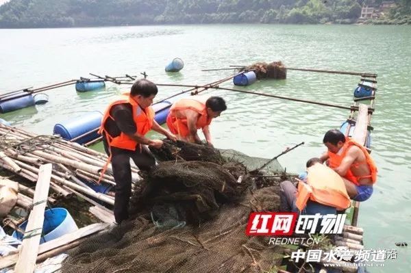 �Ĵ��Ї��ٟo�W(w��ng)���B(y��ng)�~�����������������F�����Ĵ����V��...ȫ���������������ҵĆ���