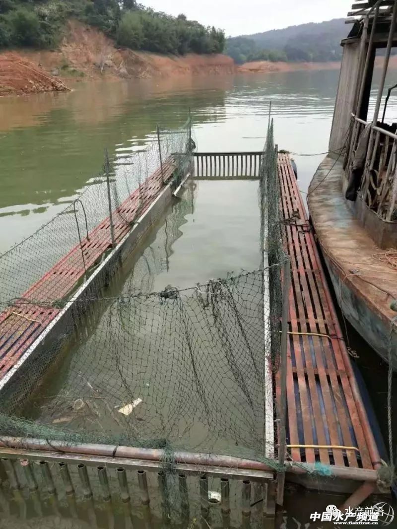 �Ĵ��Ї��ٟo�W(w��ng)���B(y��ng)�~�����������������F�����Ĵ����V��...ȫ��������࣬����ҵĆ���