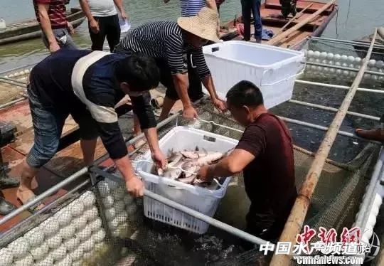 �Ĵ��Ї��ٟo�W(w��ng)���B(y��ng)�~�����������������F�ݡ��Ĵ����V��...ȫ���������������ҵĆ���