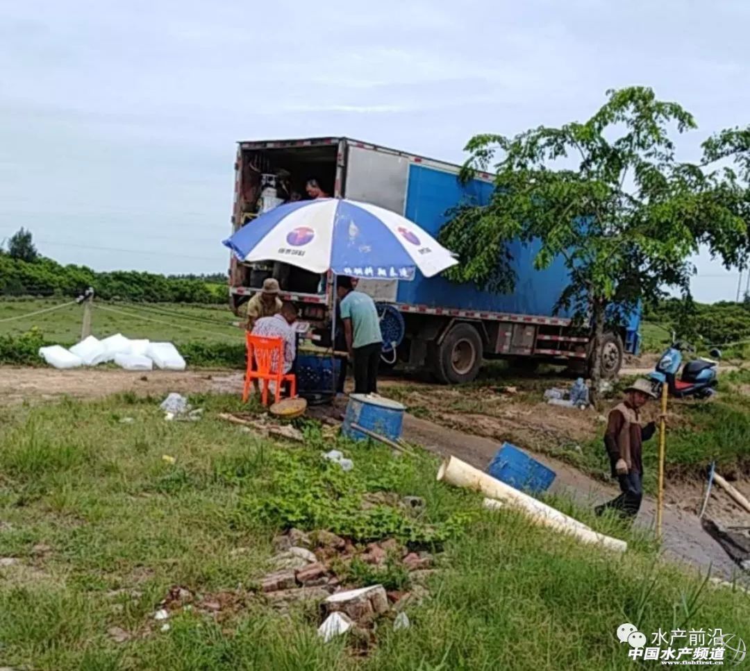 �ϰ����B(y��ng)ֳ��(li��n)�ό����ڄ�������Ŕ�