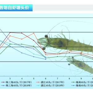 ���r�����r�_���r�r����������ˮ�a(ch��n)ǰ�ء�2018��7�¿��Ј�څ��