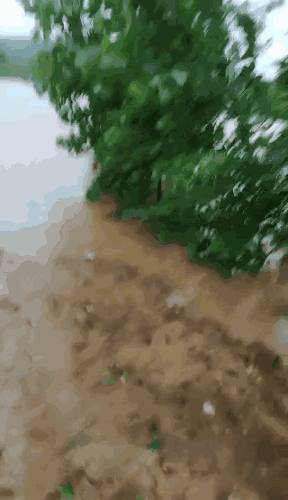 Σ�����K����50�겻���ش���(z��i)�u���Ĵ�