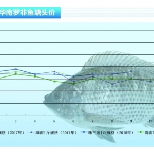 �_���~���~�r���w��(w��n)������������ˮ�a(ch��n)ǰ�ء�2018��10�¿��Ј�څ��