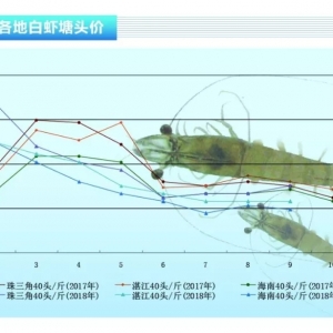 ���r���_�Lɽ���^�������﹝(ji��)ǰ�r�r������������ˮ�a(ch��n)ǰ�ء�2018��10�¿��Ј�څ��