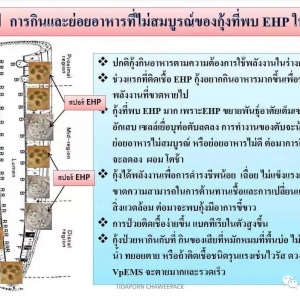 EHP�ı��l(f��)��̩���õ��@�N��ʽ�t�ܿ���EHP��