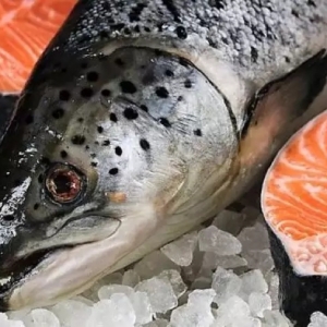 ������Ҏ(gu��)���S�����~�B(y��ng)ֳ���U(ku��)��9%�a(ch��n)���������Ї�ͬ�����L83.3����