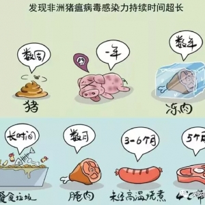 �B(y��ng)�iֻ�u�ײ˃r(ji��)���|��ʡ���i�B(y��ng)�����m(x��)Ѫ̝����·������