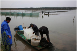 ͨ�����O��һ�w�����lз�y�a(ch��n)����(sh��)��(j��)�@���ИI(y��)피������J(r��n)���c(di��n)ٝ��