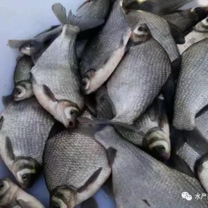 ������m(x��)���������ðl(f��)������B(y��ng)ֳ���~���B�m(x��)5�궼���A������