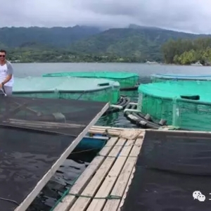 �W(w��ng)���B(y��ng)ֳ���{(l��n)���r�����a(ch��n)���_(d��)��32��/ƽ��һ���оʹ��ܚgӭ