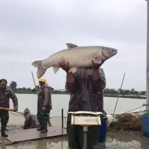 ��ѩ��·����ͨ���_ʼ���~�������ǽy(t��ng)��ֱ��5Ԫ���P����ɽ����~��ߝq0.7Ԫ/��������3 ...