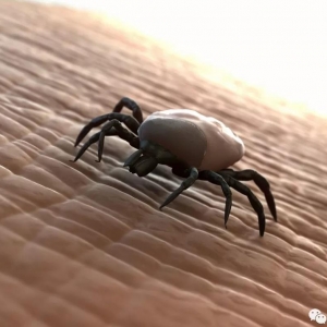 ���������������x�w��(n��i)���܂��������׷�������߀����������©��