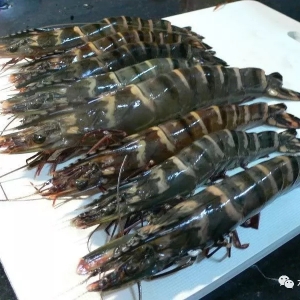 2019�����߹�(ji��)���r�B(y��ng)ֳ��(hu��)���Իؚw����