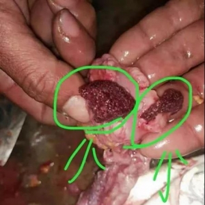 ���K�~Խ����һ���֡��Z���ϡ��������