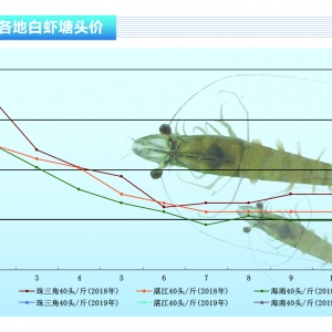 ���r�������l���B(y��ng)ֳ�y����(ji��)�Վ����r�r�ϓP������ˮ�a(ch��n)ǰ�ء�2019��1�¿��Ј�څ��
