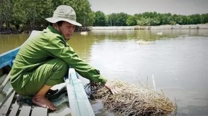 ����+����������Ч���@��(g��)�ط��ĵ��݃r(ji��)���ѽ�(j��ng)�w�q