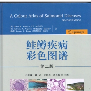 �r(ji��)���F�ĺ��V�~(y��)��Ϊ�(d��)�ö�����