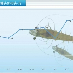 ȫ���ݡ��r�ġ�����؃r(ji��)����m(x��)���q