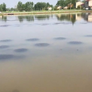 ����A(y��)��С���r���l(f��)��5��������