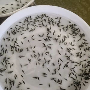 2019����ô�B(y��ng)���Z�~(y��)���x��(du��)��N���P(gu��n)�I��