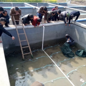 з�������^(gu��)�����H���x��ʹ�������