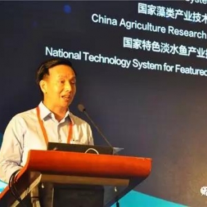 ꐵ�����Θ���ˮ�a�B(y��ng)ֳ�rֵ�