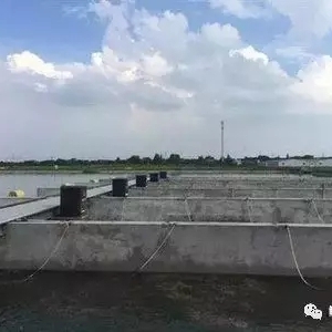 ��(sh��)��(zh��n)�����������W(w��ng)��+����B(y��ng)ֳ�Z�~(y��)