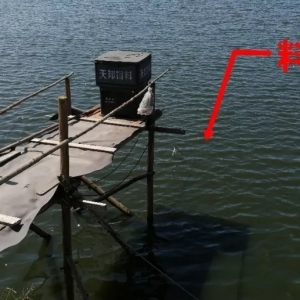 �p���B(y��ng)�r������ï�r�罻����(y��u)���ɿ�(j��)��