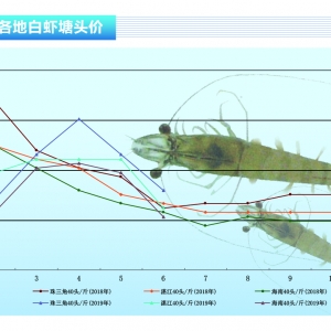 ���r:�������rӿ���Ј����r�r���m(x��)�ߵ͡�����ˮ�a(ch��n)ǰ�ء�2019��7�¿��Ј�څ��
