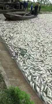 Ҫ�ᵽ40-45�棿���ߜ�?z��)Ầϯ�?2ʡ��