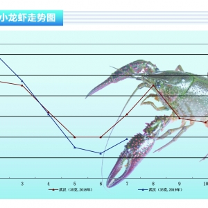 С���r���Ј����������½����r���ϝq�����^�󡪡���ˮ�a(ch��n)ǰ�ء�2019��8�¿��Ј�څ��