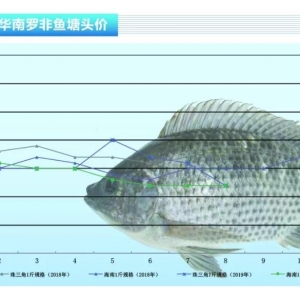 �_���~(y��)���N�۲������~(y��)�r(ji��)�»�������ˮ�a(ch��n)ǰ�ء�2019��9�¿��Ј�(ch��ng)څ��(sh��)