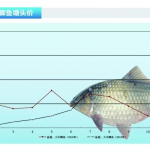 �a�~(y��)�����M(f��i)����(d��ng),�r(ji��)�񿴺á�����ˮ�a(ch��n)ǰ�ء�2019��9�¿��Ј�(ch��ng)څ��(sh��)