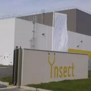 �ɳ��m(x��)ˮ�a(ch��n)�B(y��ng)ֳ�����I(l��ng)�����㿴���Ă�(g��)����