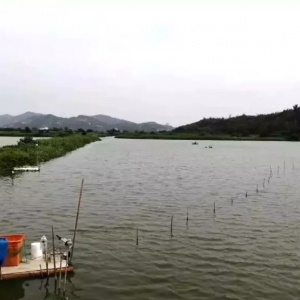 ���ǌ��r�B(y��ng)ֳ����:�Hһ����ٍ�X��