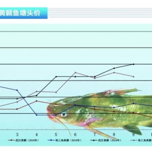 �S��~(y��)�����~(y��)��������(r��n)�ߣ����^�r(ji��)��(w��n)���l(f��)չ������ˮ�a(ch��n)ǰ�ء�2019��10�¿��Ј�(ch��ng)څ��(sh��)