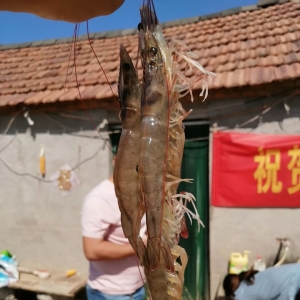 ��������6�f�����a(ch��n)3000����r��ʽ�������