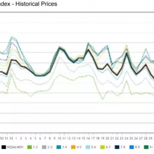 �_�q�������~�^�B�m(x��)2���µ̓r���|�׷�����