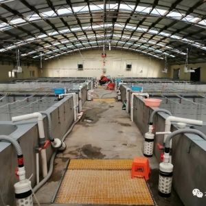 �����r���Ј��{(di��o)�У��r�r(n��ng)���������r����