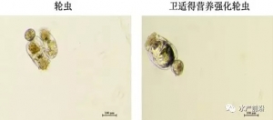 ���׌���r�A�������������������������Ч������