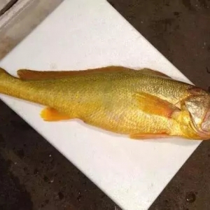 �H�ݱ��࣬�l(shu��)����������Ұ�����S�~(y��)