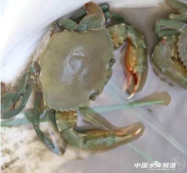 40�f�����{(l��n)�����Ј������γɣ����ռ���șC(j��)