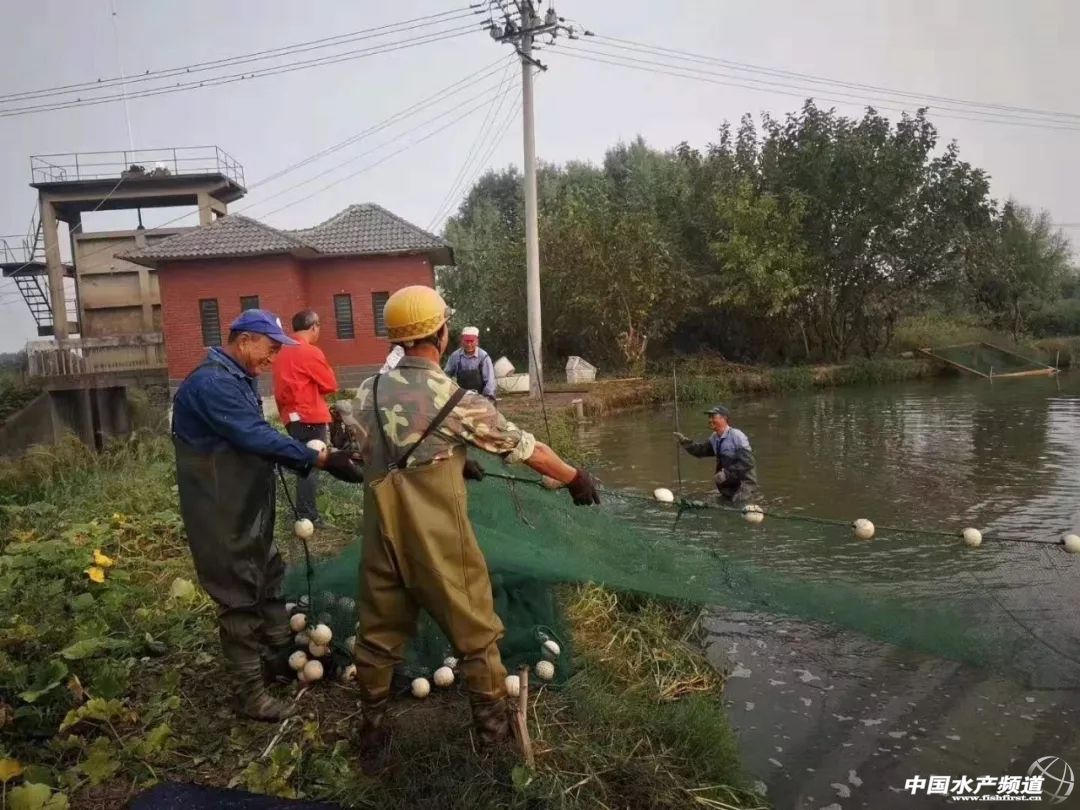 ��߰��a(ch��n)47���������|�~���ل�(chu��ng)�ѿ�