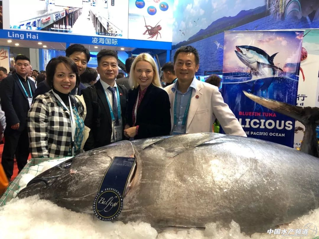 Ų��Nordlaks�c�Ϻ���֮�d�M(j��n)����(hu��)�_(d��)�ɺ���