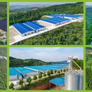 10���о����ƷNԴ�Ŕ࣬�@�����N��I(y��)�ܵ��߶���ҕ