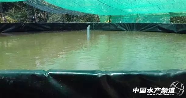 120ƽ������ٍ4-6�f���B(y��ng)�~�ķ�ʽ׃����