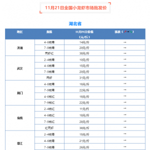 11��21��ȫ��С���r�Ј����l(f��)�r