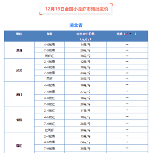 12��19��ȫ��С���r�Ј����l(f��)�r