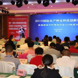 ͑׃�����ϰ딵(sh��)���󶼁������R���������r���|(zh��)�����������Є���