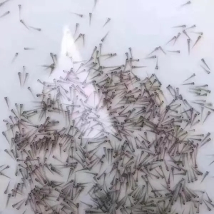 ߀�ڷ����q�������W(xu��)��(hu��)�@Щ���p�����ˮ���ɻ���